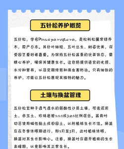 松针叶养花,改善土壤透气,提升植物活力 松针叶养花,改善土壤透气,提升植物活力