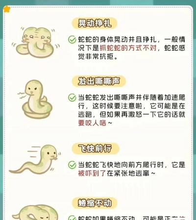 蛇养殖,入门技巧,常见问题解答 蛇养殖,入门技巧,常见问题解答