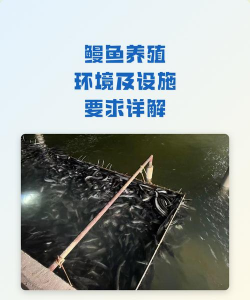 养殖条件,环境要求,技术要点 养殖条件,环境要求,技术要点