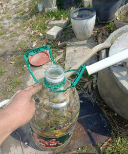 发酵水养花,提升植物活力,改善土壤环境 发酵水养花,提升植物活力,改善土壤环境