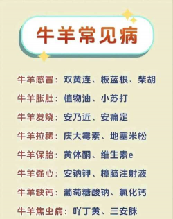 河南养殖,常见问题,实用建议 河南养殖,常见问题,实用建议