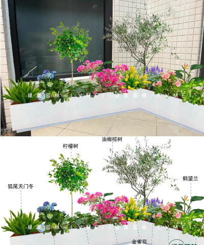 怎么养花木,掌握基础技巧,轻松打理庭院 怎么养花木,掌握基础技巧,轻松打理庭院