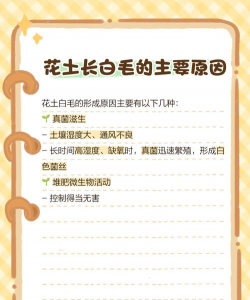养花土发白,原因是什么,如何解决 养花土发白,原因是什么,如何解决