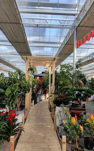 园林花卉公司,专业绿化服务,打造美丽家园 园林花卉公司,专业绿化服务,打造美丽家园