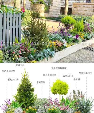 养花与属性,了解植物特性,打造理想花园 养花与属性,了解植物特性,打造理想花园