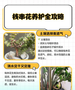 养花能赚钱吗,市场需求大,适合副业尝试 养花能赚钱吗,市场需求大,适合副业尝试