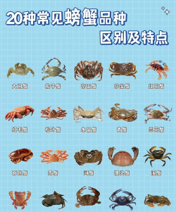 海鲜养殖,新手入门,常见问题解答 海鲜养殖,新手入门,常见问题解答