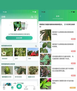 教养花的软件,新手必备,轻松养好花 教养花的软件,新手必备,轻松养好花