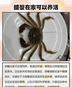 养殖海鲜,掌握关键技巧,提升养殖效益 养殖海鲜,掌握关键技巧,提升养殖效益