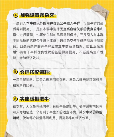 养殖奶牛,掌握关键技巧,实现稳定收益 养殖奶牛,掌握关键技巧,实现稳定收益