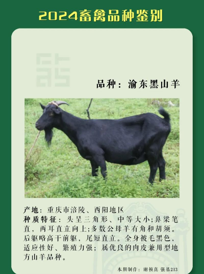 新疆养殖,气候条件特殊,养殖品种怎么选 新疆养殖,气候条件特殊,养殖品种怎么选