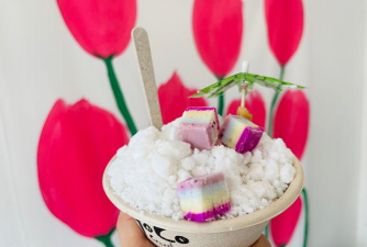 食用菌养花,废物利用,环保又省钱 食用菌养花,废物利用,环保又省钱