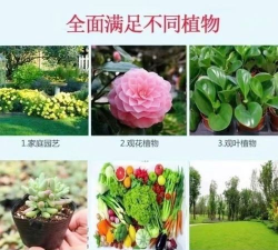 阿匹西林养花,常见问题解答,实用技巧分享 阿匹西林养花,常见问题解答,实用技巧分享