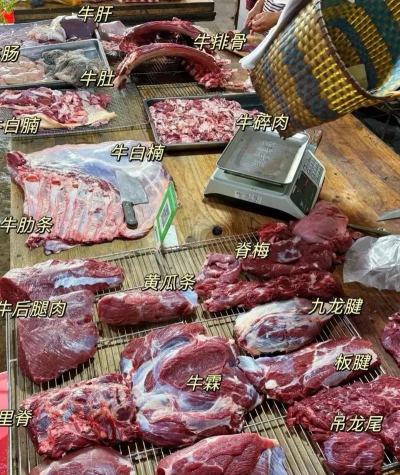 黄牛养殖,新手入门,常见问题解答 黄牛养殖,新手入门,常见问题解答