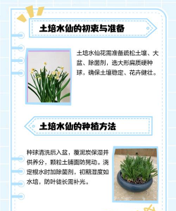 仙土养花,提升植物活力,改善土壤环境 仙土养花,提升植物活力,改善土壤环境