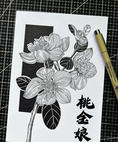 线描装饰画花卉,简单易上手,美化家居空间 线描装饰画花卉,简单易上手,美化家居空间