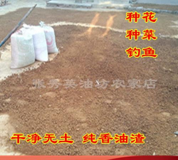 香油渣养花,肥力足效果好,注意用法别乱来 香油渣养花,肥力足效果好,注意用法别乱来