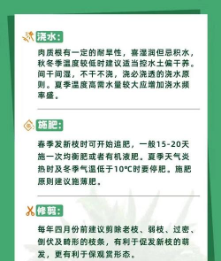 东北养殖,气候条件特殊,养殖方法要调整 东北养殖,气候条件特殊,养殖方法要调整
