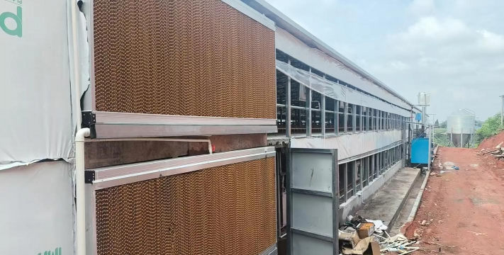 山鸡养殖,场地选择,饲料搭配 山鸡养殖,场地选择,饲料搭配