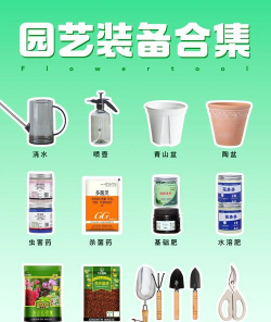 养花用具,新手入门,必备清单 养花用具,新手入门,必备清单