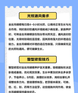 养殖蝴蝶,掌握关键技巧,轻松实现盈利 养殖蝴蝶,掌握关键技巧,轻松实现盈利