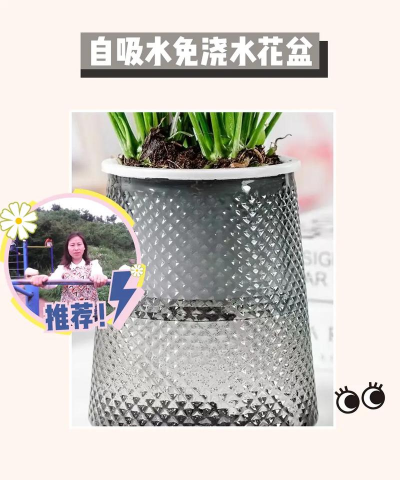 养花用具,新手必备,轻松打理花草 养花用具,新手必备,轻松打理花草