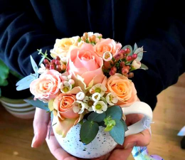 用杯子养花,简单又好看,新手也能轻松上手 用杯子养花,简单又好看,新手也能轻松上手