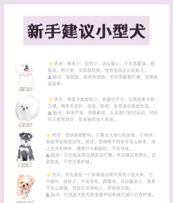 肉狗养殖,选对品种,掌握技术 肉狗养殖,选对品种,掌握技术