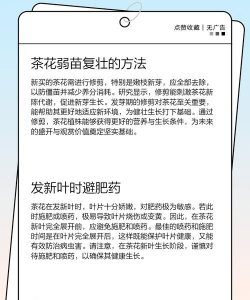 茶枯养花,改善土壤,促进植物生长 茶枯养花,改善土壤,促进植物生长
