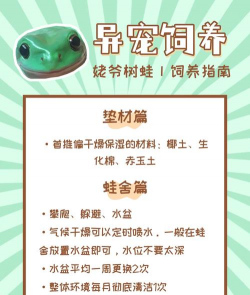 养殖青蛙,掌握关键技巧,实现稳定收益 养殖青蛙,掌握关键技巧,实现稳定收益