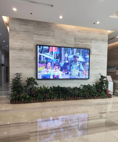 室内花卉租摆,美化办公环境,提升员工心情 室内花卉租摆,美化办公环境,提升员工心情