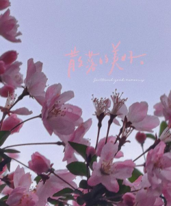 苏州植物花卉园,赏花好去处,亲子游推荐 苏州植物花卉园,赏花好去处,亲子游推荐