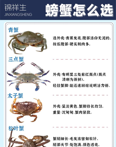 如何养花蟹,掌握关键技巧,轻松养活不费劲 如何养花蟹,掌握关键技巧,轻松养活不费劲