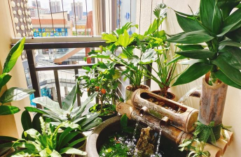 鱼盆养花,选对植物,轻松打造水景花园 鱼盆养花,选对植物,轻松打造水景花园