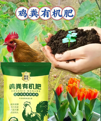 鸡粪土养花,改善土壤肥力,促进植物生长 鸡粪土养花,改善土壤肥力,促进植物生长
