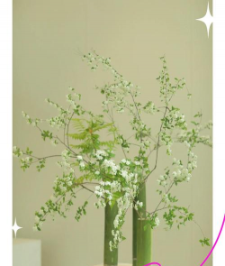 竹筒养花图片,创意家居装饰,打造自然美感 竹筒养花图片,创意家居装饰,打造自然美感