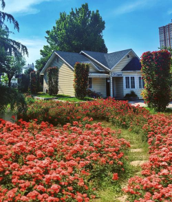 石家庄花卉园,赏花好去处,游玩全攻略 石家庄花卉园,赏花好去处,游玩全攻略