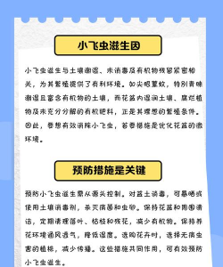 养花招飞虫,原因与解决,实用方法分享 养花招飞虫,原因与解决,实用方法分享