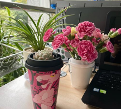 咖啡沫养花,废物利用,植物更健康 咖啡沫养花,废物利用,植物更健康