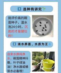 池塘泥养花,改善土壤质量,提升植物生长 池塘泥养花,改善土壤质量,提升植物生长