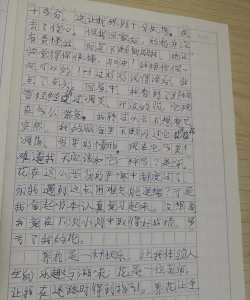 养花趣事作文350,记录生活点滴,分享成长快乐 养花趣事作文350,记录生活点滴,分享成长快乐