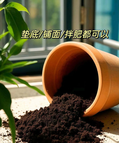 养花买什么土,选对土壤,花儿更健康 养花买什么土,选对土壤,花儿更健康