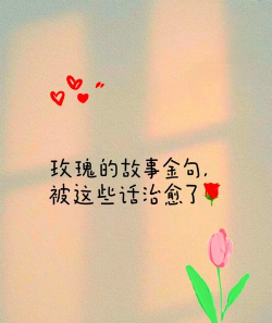 喜欢养花的美句,分享美好心情,点缀生活日常 喜欢养花的美句,分享美好心情,点缀生活日常