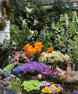 曹庄子花卉市场,买花好去处,品种多价格低 曹庄子花卉市场,买花好去处,品种多价格低