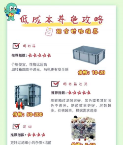 龟的养殖,新手入门指南,常见问题解答 龟的养殖,新手入门指南,常见问题解答