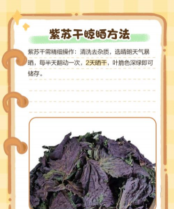 晒干的中药渣可以养花,废物利用好方法,改善土壤有妙招 晒干的中药渣可以养花,废物利用好方法,改善土壤有妙招