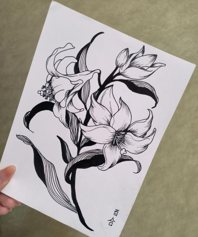 黑白线描花卉,简单易上手,画出精致美感 黑白线描花卉,简单易上手,画出精致美感