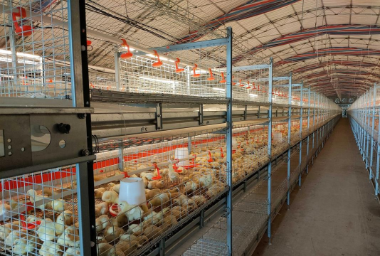 养殖机械,提升养殖效率,降低人工成本 养殖机械,提升养殖效率,降低人工成本