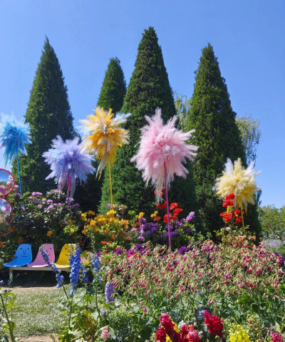 花卉王国,探索植物世界,感受自然之美 花卉王国,探索植物世界,感受自然之美
