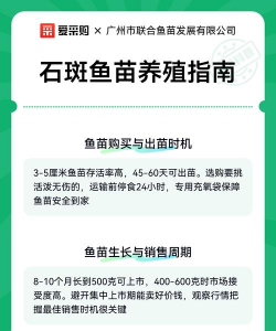 石斑鱼养殖,掌握关键技巧,提升成活率 石斑鱼养殖,掌握关键技巧,提升成活率